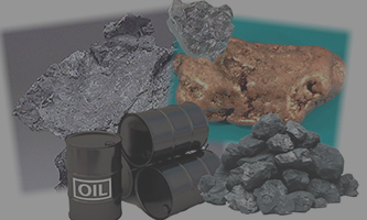 Minerals ( iron ore , coal etc)